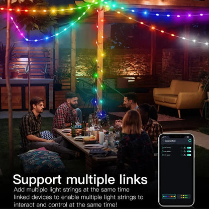RGBIC Christmas Bluetooth String Lights